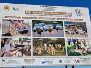 Agadir : Lancement des travaux de construction du « The Lion Park of Drarga »