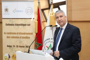 Abeilles: L’effondrement des colonies d’abeilles