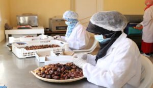 Tata: les unités de valorisation de dattes, un travail acharné pour une production importante