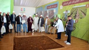 Al Moutmir: Plus de 920 plateformes de démonstration des cultures maraichères en 2020-2021