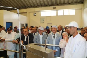 Agadir : Lancement du projet pilote de la digitalisation de la vente aux enchères des produits de la pêche artisanale