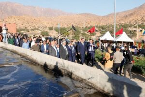 Festival de Tafraout : Joindre l’utile à l’agréable