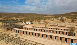 Agadir: La création d&rsquo;un refuge des chiens errants