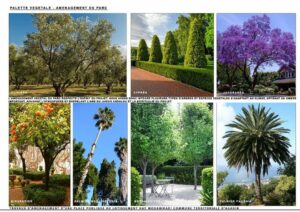 Agadir : Aménagement de la place Hay Al-Mohammadi et sa transformation en un espace de qualité et attractif